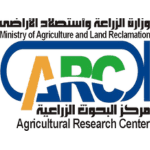 شعار الشريك الأول